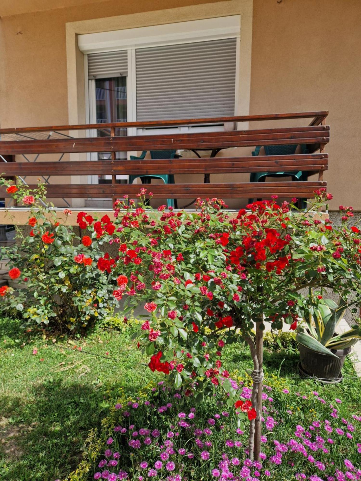 Guesthouse Irac 투즐라 외부 사진